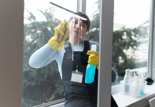 Nettoyage de vitres intérieures et extérieures aux Essarts-le-Roi